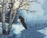 Утренний полет
