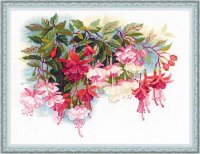 Фуксия РИОЛИС 1398