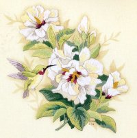 Букет гибискуса